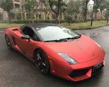 父亲观点,若能证实约,维奇犯罪,易倍体育平台,易倍体育官方网站,易倍体育登录入口,易倍体育app下载