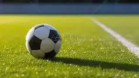 易倍体育 产品 101629 itg