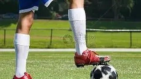 易倍体育 资讯 114414 j1f