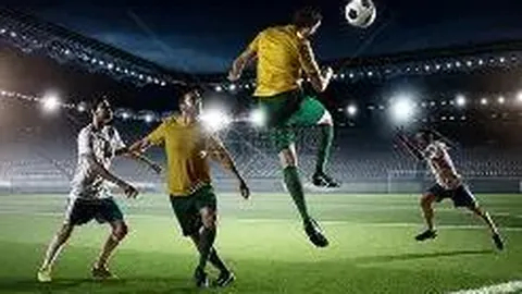 易倍体育 资讯 114431 mub